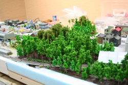 樹木模型